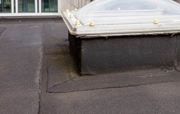 disadvantages of Bressingham Common flat roofs