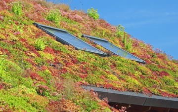 Bressingham Common living roof systems
