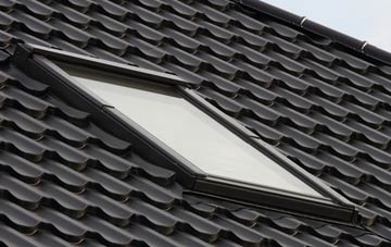 benefits of Bressingham Common roof windows