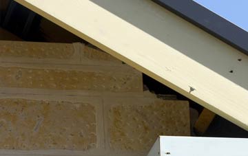 soffit repair Bressingham Common